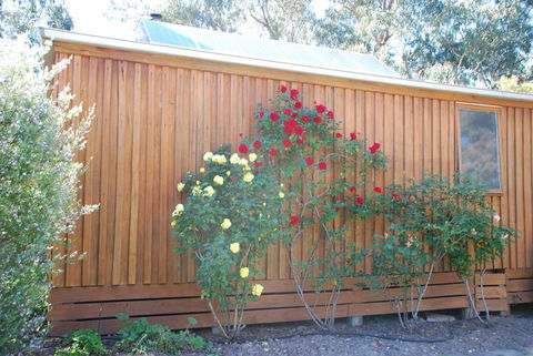 Bluegum Ridge Cottages - Events Australia 23