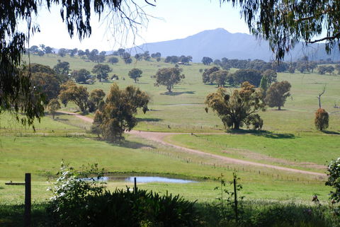 Bluegum Ridge Cottages - Events Australia 31