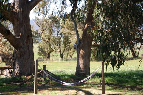 Bluegum Ridge Cottages - Events Australia 28