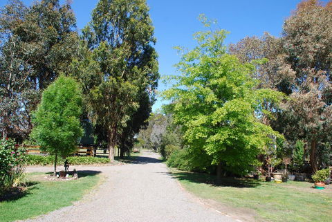 Bluegum Ridge Cottages - Events Australia 5