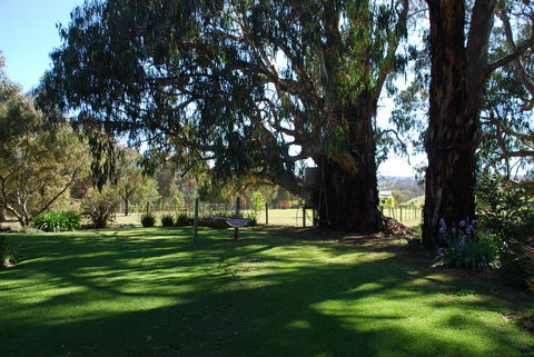 Bluegum Ridge Cottages - Events Australia 29