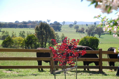 Bluegum Ridge Cottages - Events Australia 33