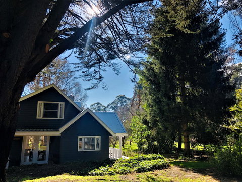 The Orchard - Events Australia 1