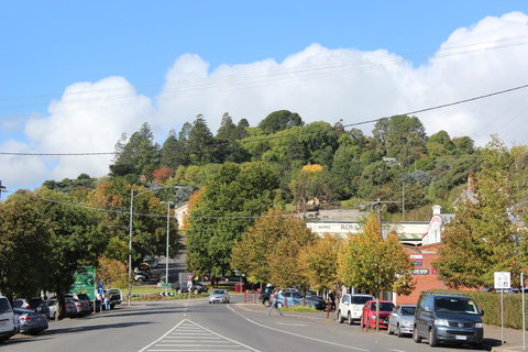 The Orchard - Events Australia 29