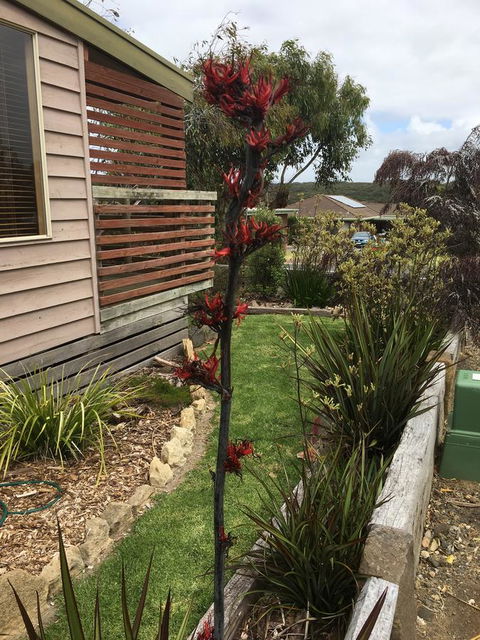 The PC Cottage - Events Australia 31