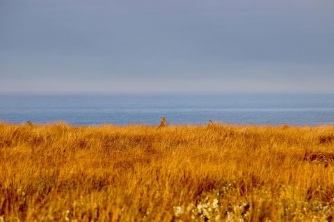 The PC Cottage - Events Australia 39