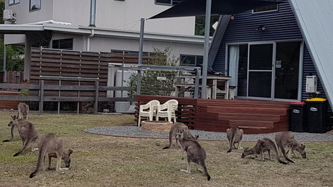 The A-Frame - Events Australia 3