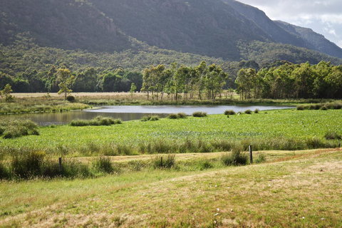 Gumnut Villa - Accommodation Europe 11