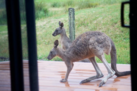 Gumnut Villa - Accommodation Europe 10