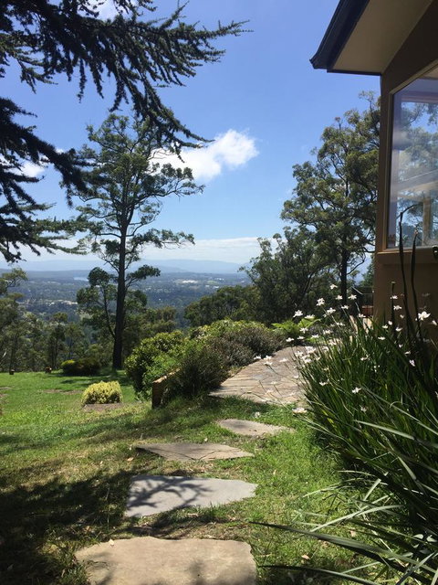 The Dan - Events Australia 24