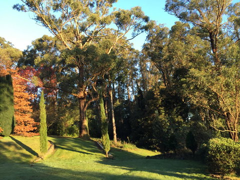 The Dan - Events Australia 23