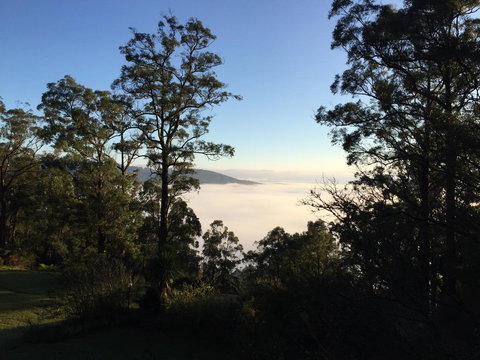 The Dan - Events Australia 25