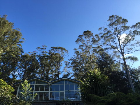 The Dan - Events Australia 17