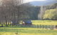 Aspens Springs Farmstay - thumb 25