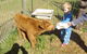 Aspens Springs Farmstay - thumb 22