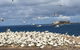 Cape Nelson Lighthouse - thumb 40