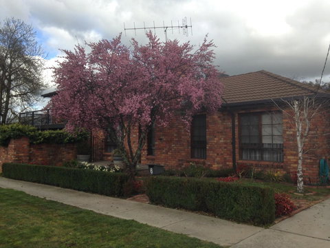 Bricks And Roses - Events Australia 1