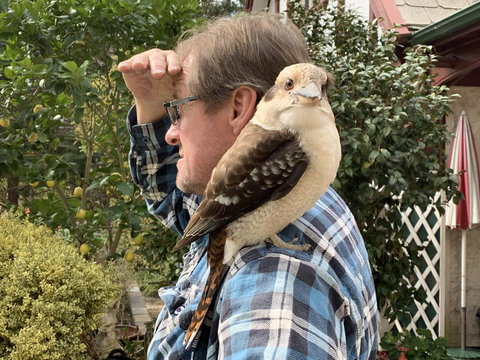 Swan Cove Beachfront - Events Australia 4