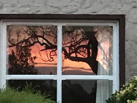 Swan Cove Beachfront - Events Australia 13