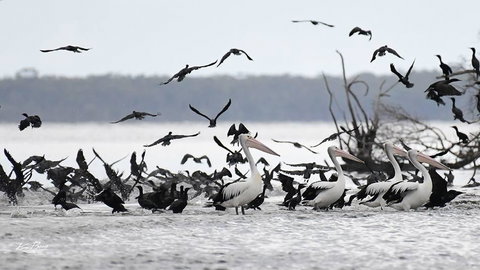 Swan Cove Beachfront - Events Australia 1