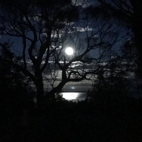 Swan Cove Beachfront - Events Australia 12