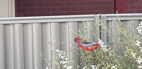 Torquay Timeout - Events Australia 14