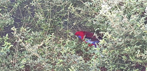 Torquay Timeout - Events Australia 16