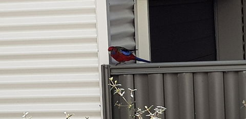 Torquay Timeout - Events Australia 15