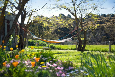 Cabrito - Accommodation Europe 3