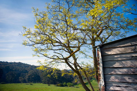 Cabrito - Accommodation Europe 9