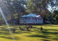 Book Peregian Beach Accommodation Vacations Events Australia Events Australia