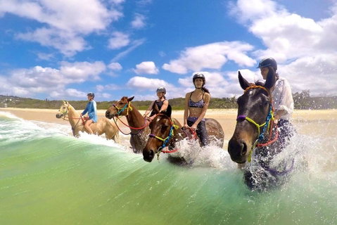 Salty Vibes Retreat - Tourism Bookings 6