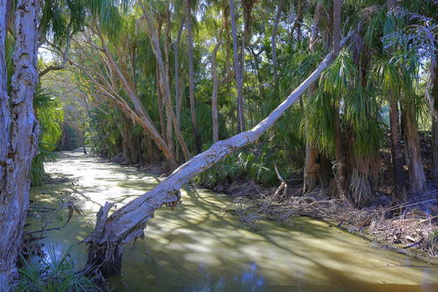 Sandcastles 1770 Motel & Resort - Events Australia 18
