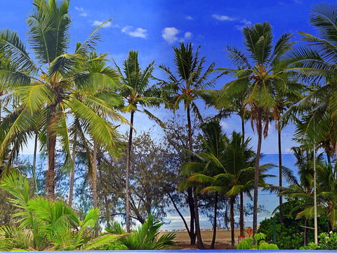 By The Sea Port Douglas - Accommodation Europe 3