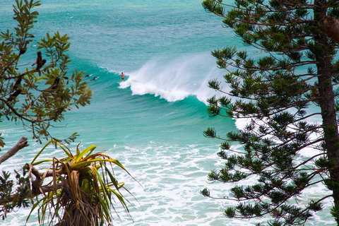 Rainbow Bay Backpackers - Accommodation Europe 15