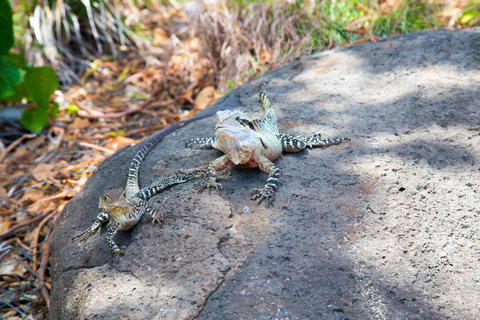 Rainbow Bay Backpackers - Accommodation Europe 21