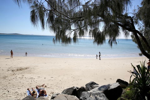 The Cove Noosa - Tourism Bookings 26