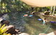 Eco Village Mission Beach - thumb 1