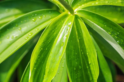 Port Douglas Motel - Events Australia 27