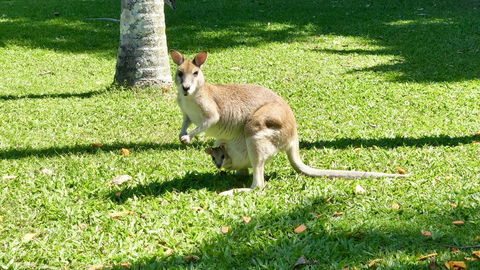Argosy On The Beach - Tourism Bookings 14
