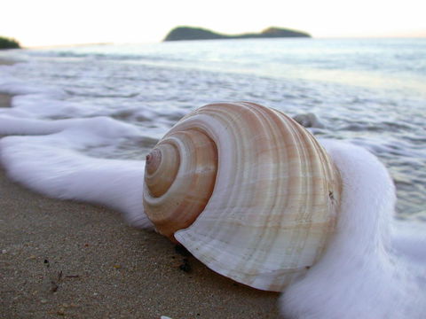 Argosy On The Beach - Tourism Bookings 18