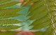Villa San Michele (Official) - thumb 21