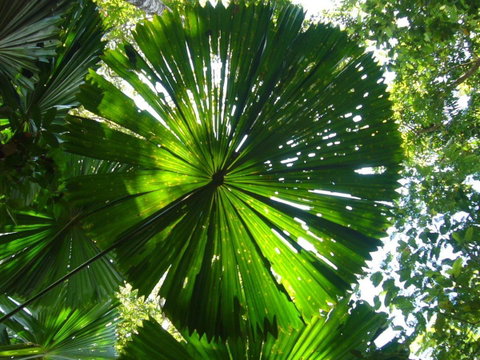 Port Douglas Retreat - Tourism Bookings 19