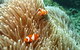Port Douglas Retreat - thumb 16