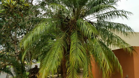 Hepburn Holiday Haven - Events Australia 26