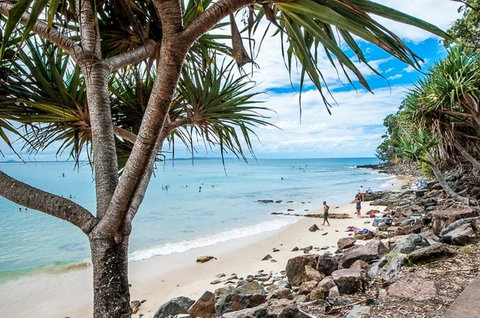 Noosa De Villa - Tourism Bookings 15