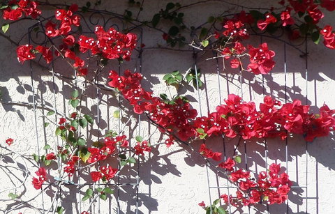 Gaia On Bribie Island - Events Australia 35