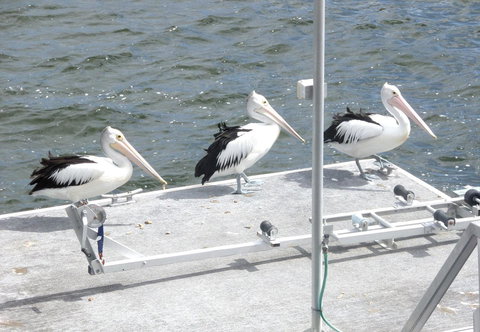 Gaia On Bribie Island - Events Australia 40