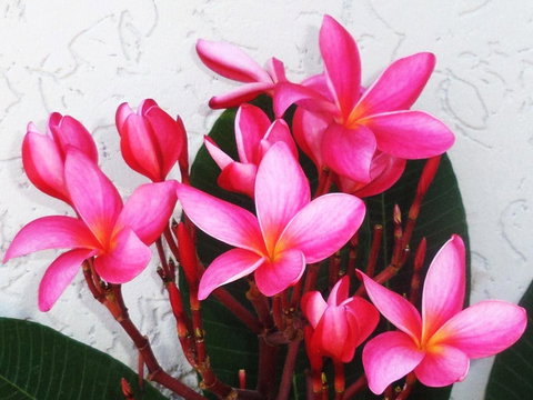 Gaia On Bribie Island - Events Australia 31