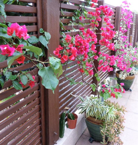 Gaia On Bribie Island - Events Australia 43